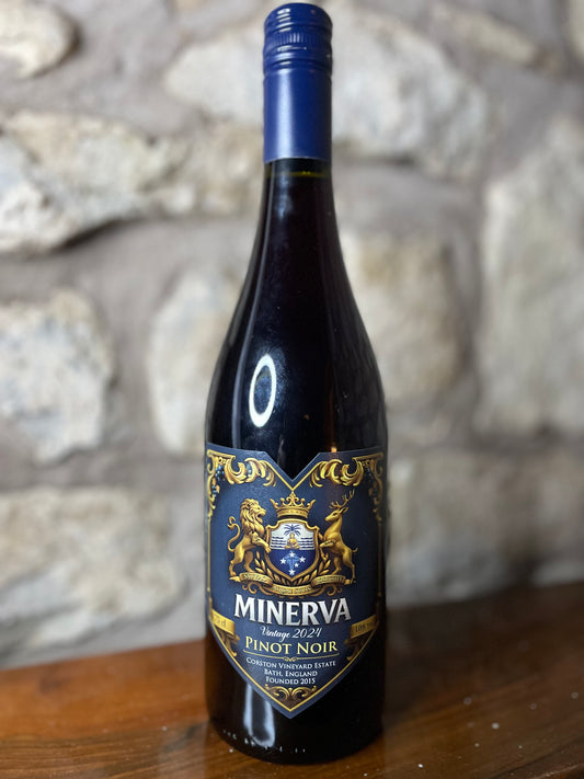 Minerva Pinot Noir 2024