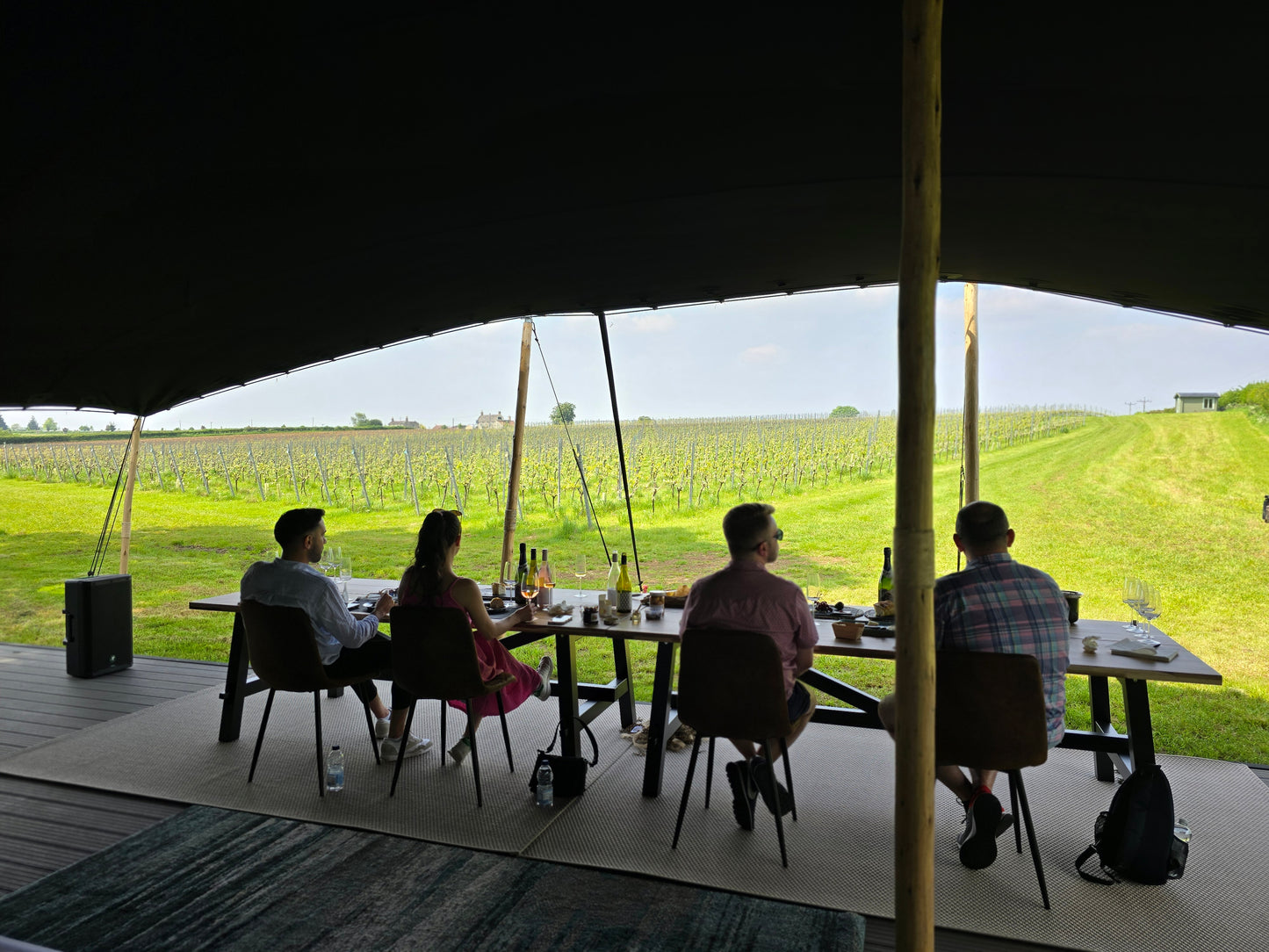 Minerva Immersive Vineyard Tour & World First Sound & Food Pairing