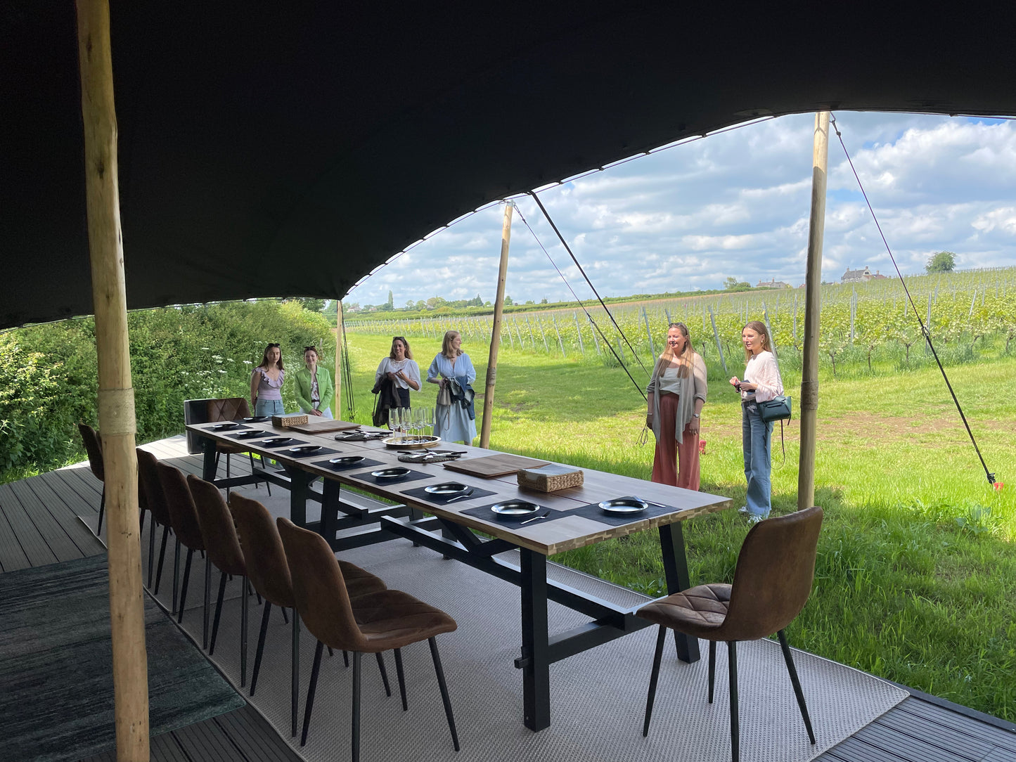 Minerva Immersive Vineyard Tour & World First Sound & Food Pairing