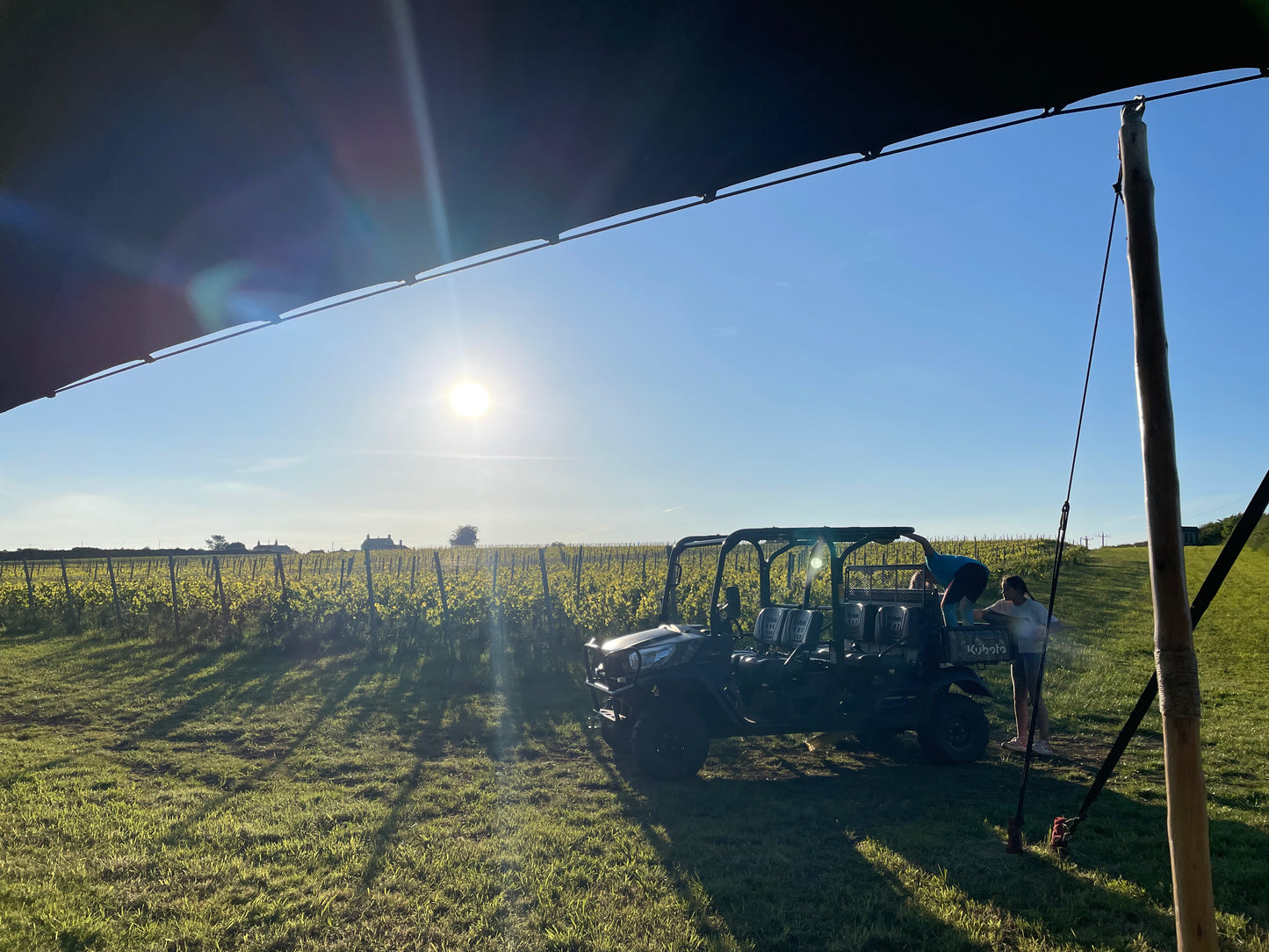 Minerva Immersive Vineyard Tour & World First Sound & Food Pairing