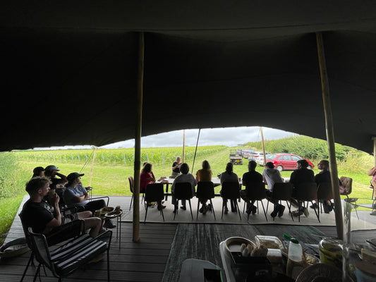 Minerva Immersive Vineyard Tour & World First Sound & Food Pairing