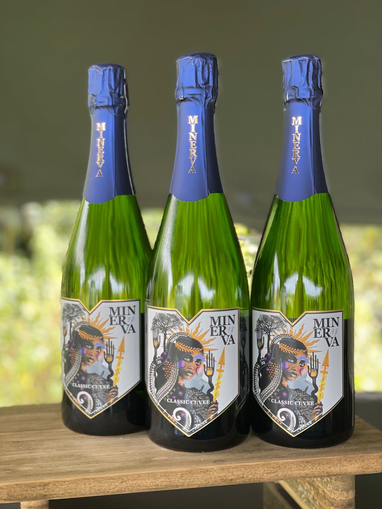 Minerva Immersive Vineyard Tour & World First Sound & Food Pairing