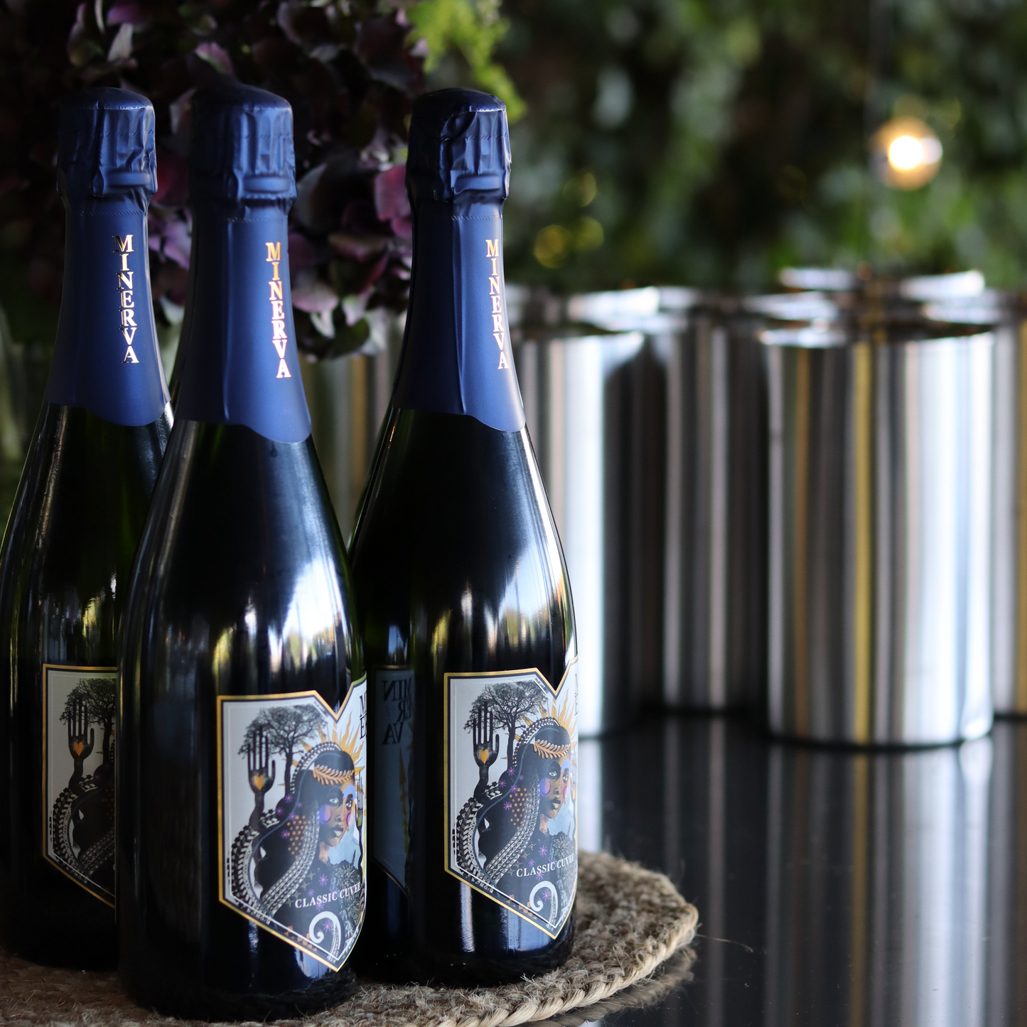 Minerva Immersive Vineyard Tour & World First Sound & Food Pairing